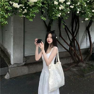 写珍集